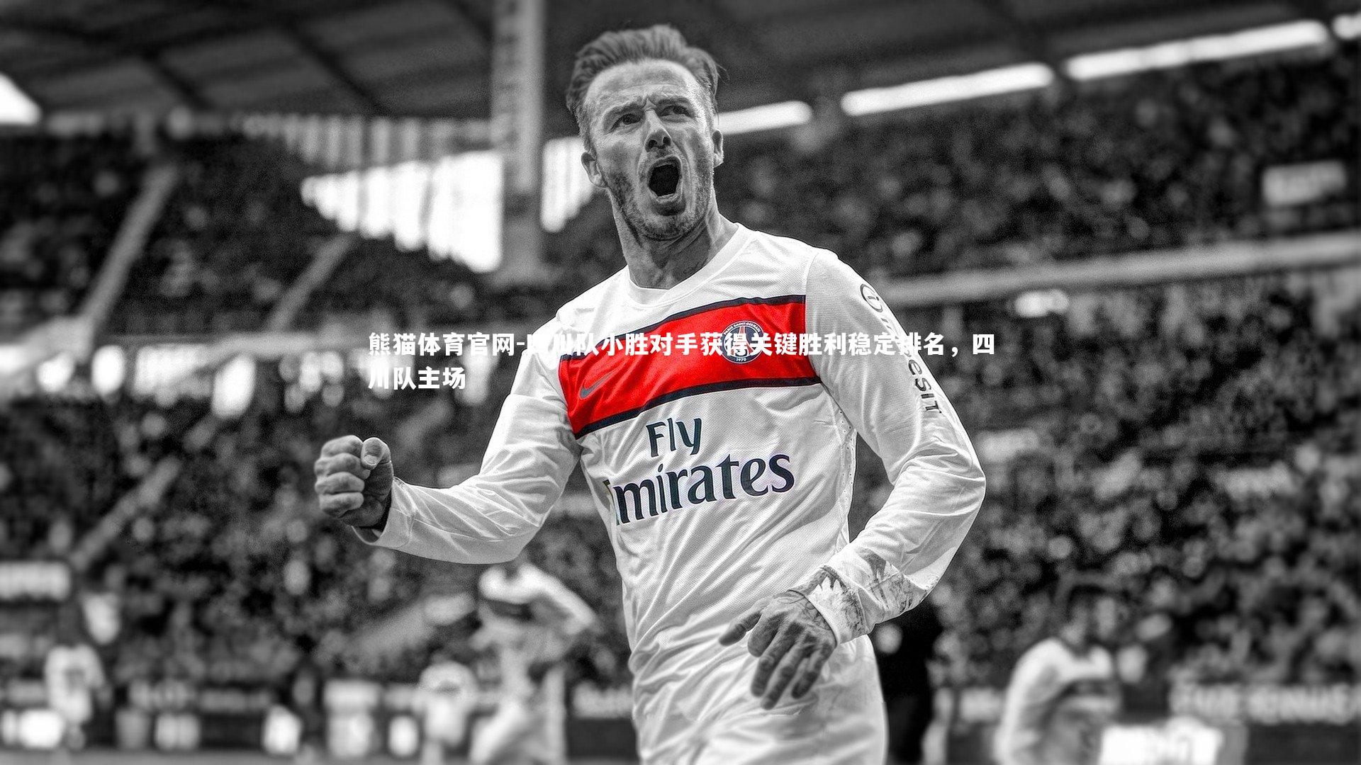 四川队小胜对手获得关键胜利稳定排名，四川队主场