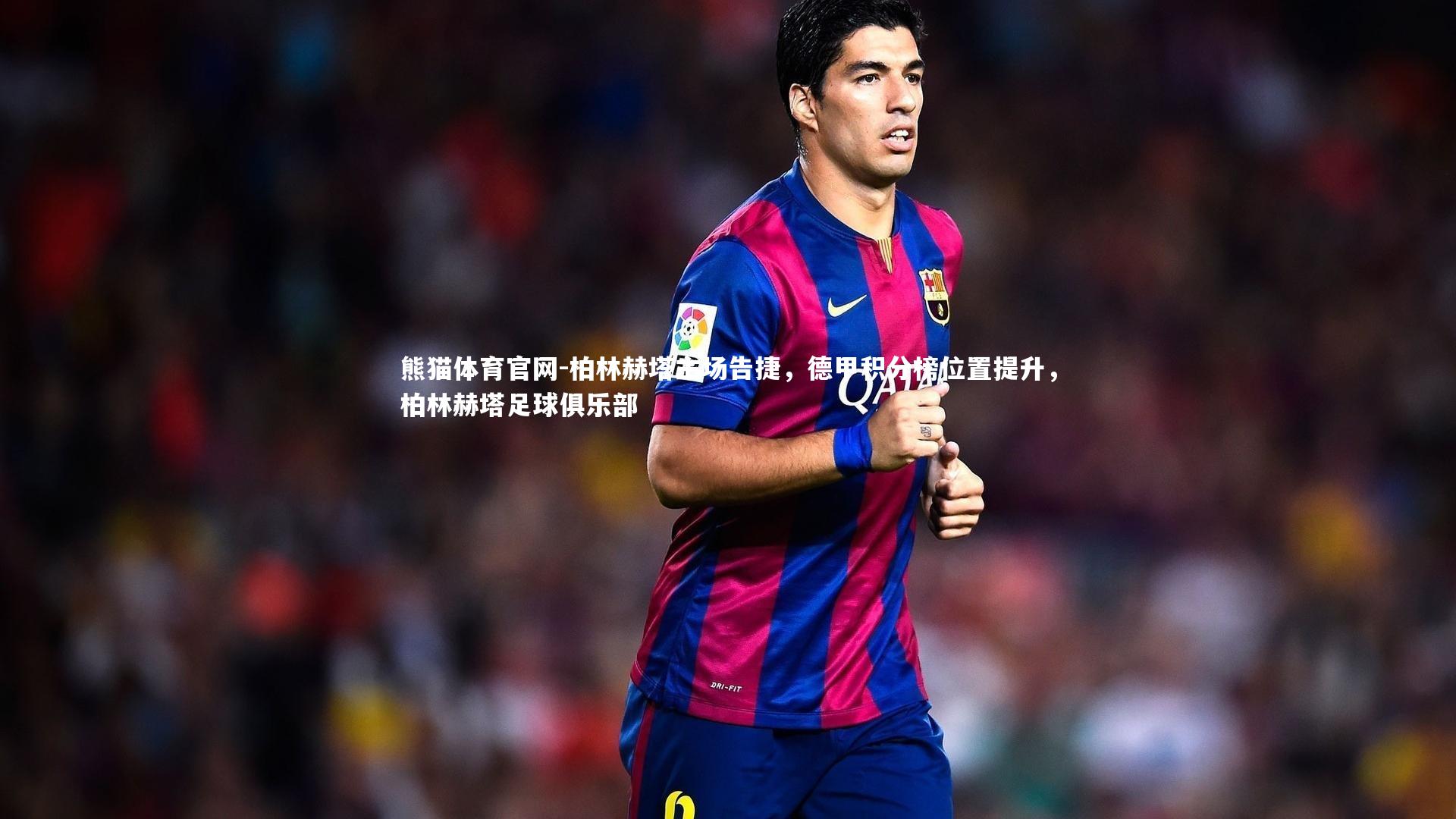 柏林赫塔主场告捷，德甲积分榜位置提升，柏林赫塔足球俱乐部