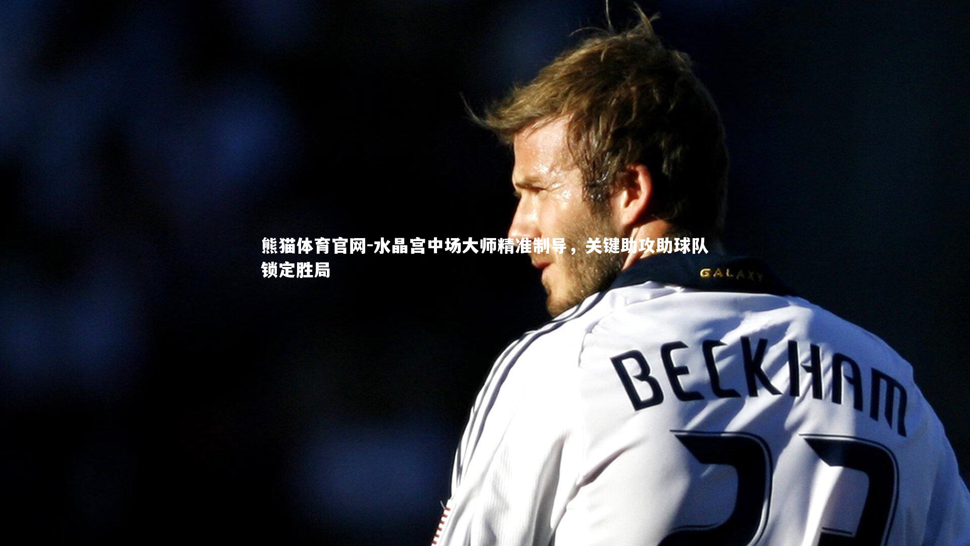 熊猫体育官网-水晶宫中场大师精准制导，关键助攻助球队锁定胜局